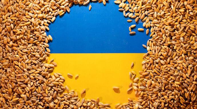 ***💶*****Австрія виділила €2 млн для Grain …