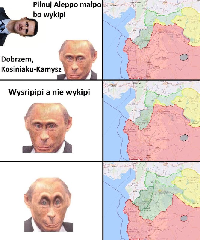 Autystyczne ?️‍?