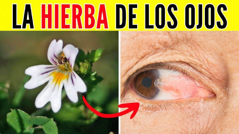 Sólo para tus OJOS. Ideas y …