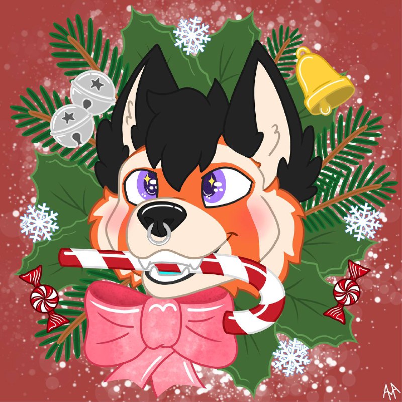 Christmas pfp for Canys ***✏️***