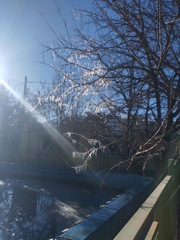 **همدان***?***قندیل بستن درختان در پارک گلها***❄️*****