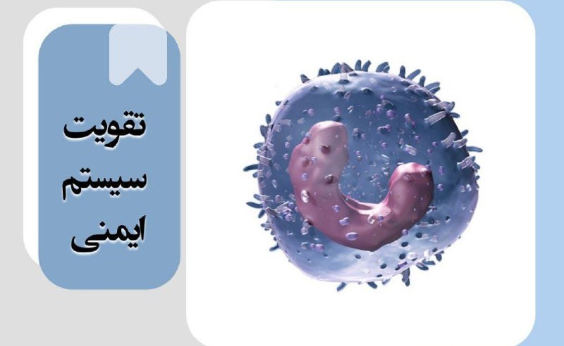 قسمت دوم