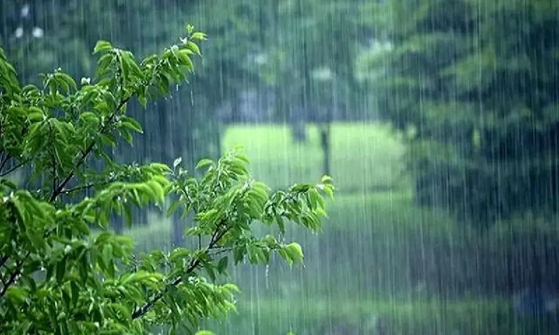 و آمدنت به باران می ماند