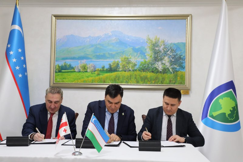 Georgian Reformatics to provide Uzbekistan with …