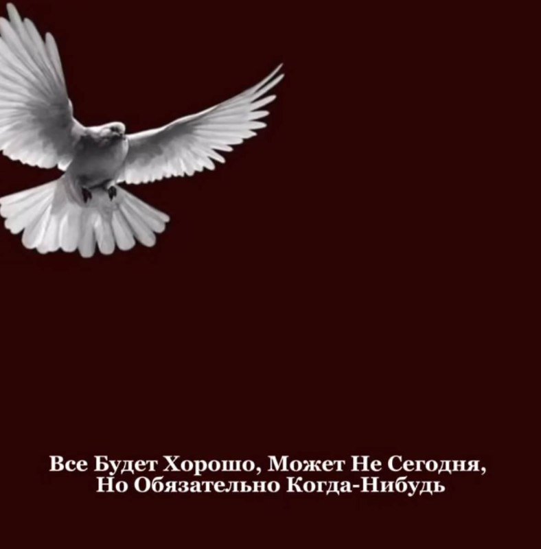 🕊Եղիր_ինձ_հետ🕊