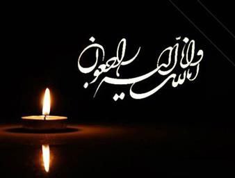 استاد گرامی جناب آقای رامین ربیعی