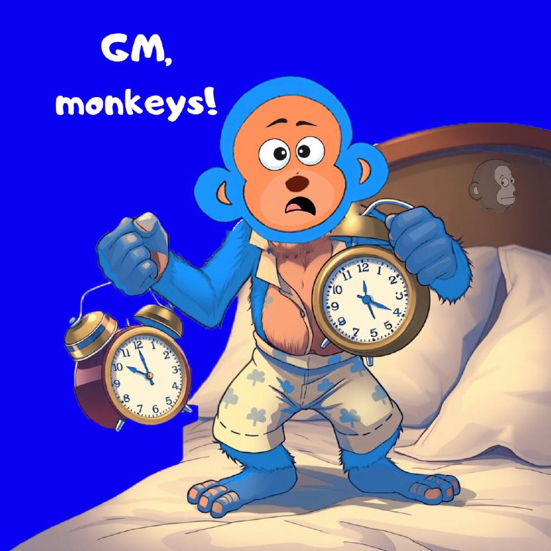 GM monkeys