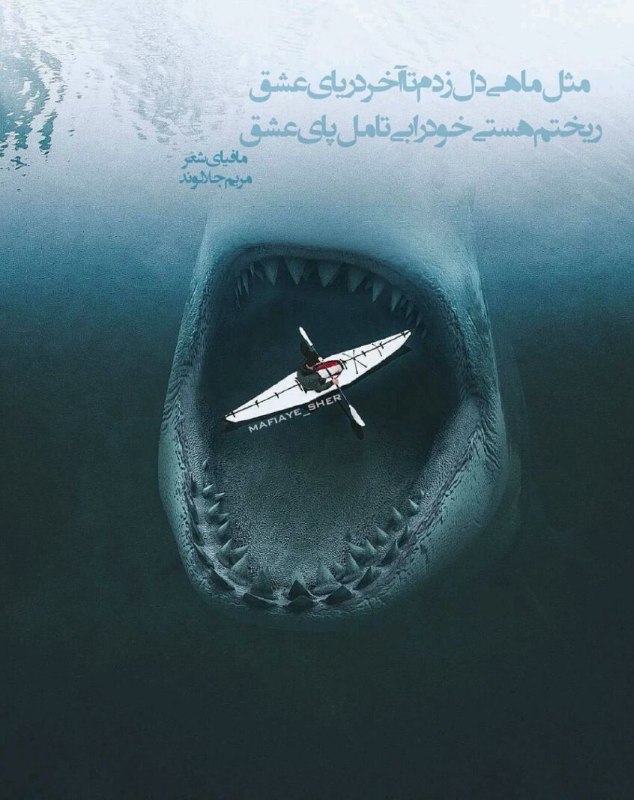 ***📸***مثل ماهی دل زدم تا آخر …