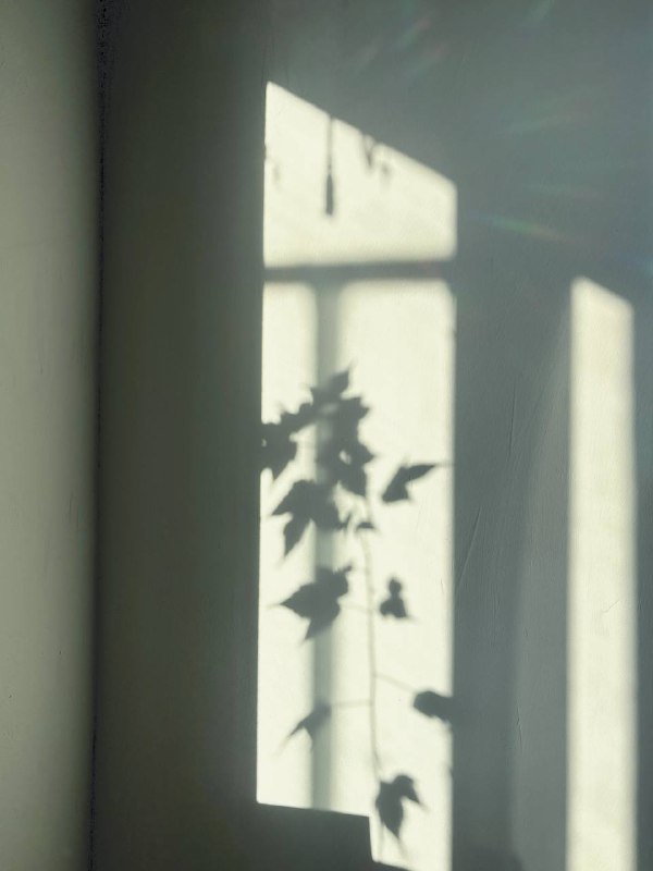 жизнь скользит по кончикам пальцев