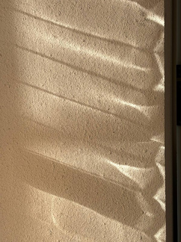 видеть законо-