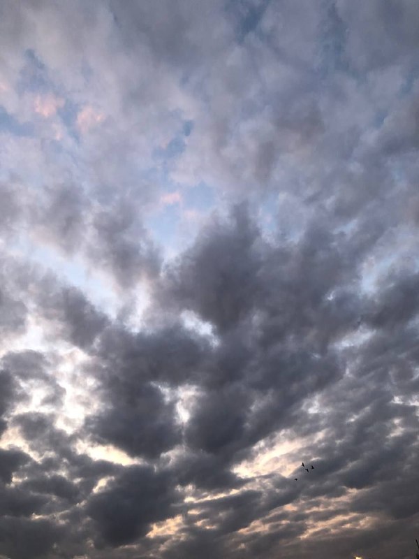 "_ يحڪى آن 🦋