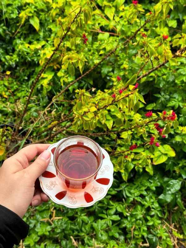 "_ يحڪى آن 🦋