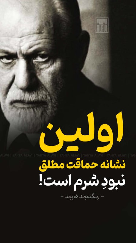 اولین نشانه حماقت مطلق، نبود شرم …