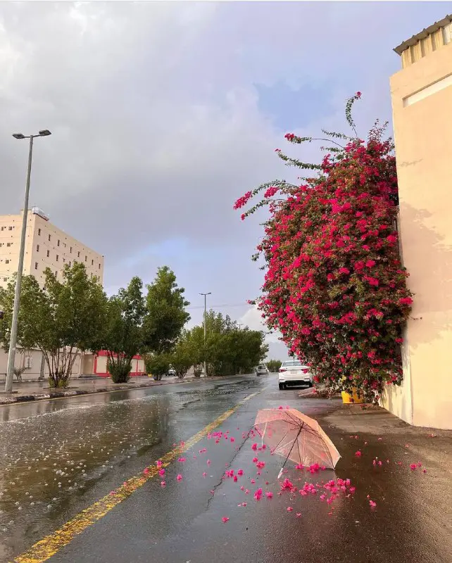 وهَن .