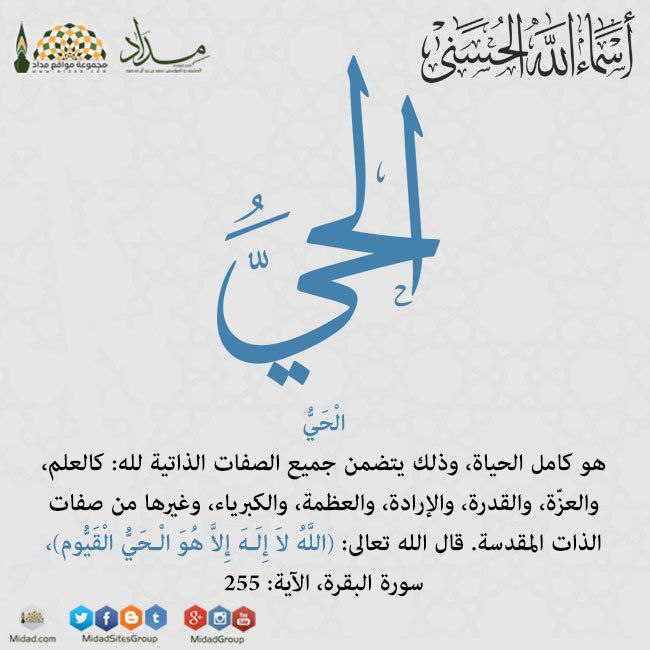 طريقك إلى سـ🌼🌿ـعادة الدارَين