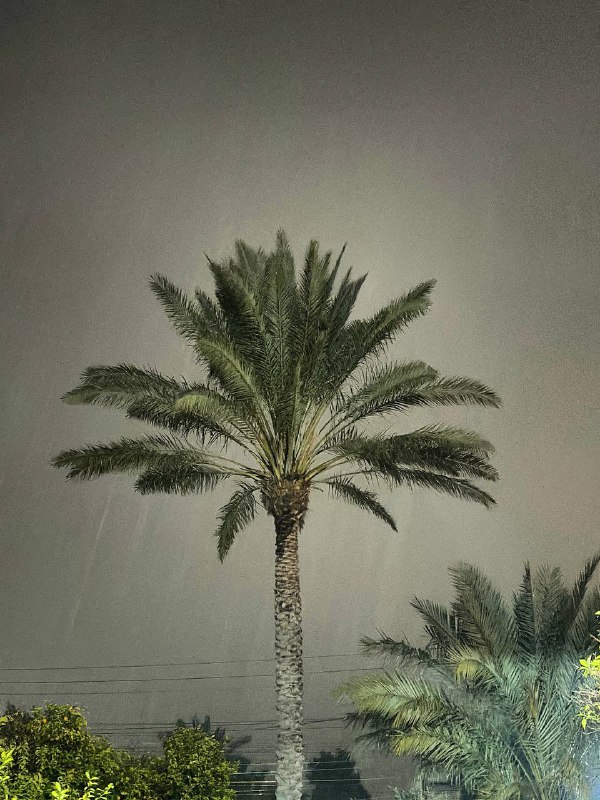 بَـحرٌ