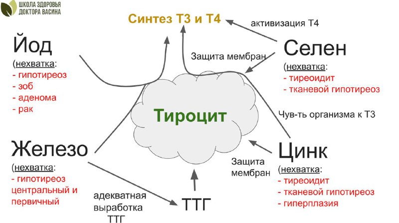 **Про симптоматическое лечение.**