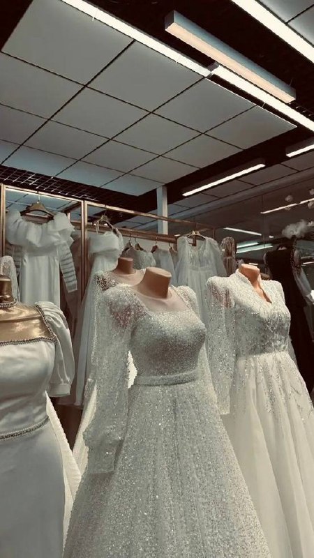 😍𝑷𝒂𝒓𝒊𝒄𝒉𝒆𝒉𝒓𝒂😍