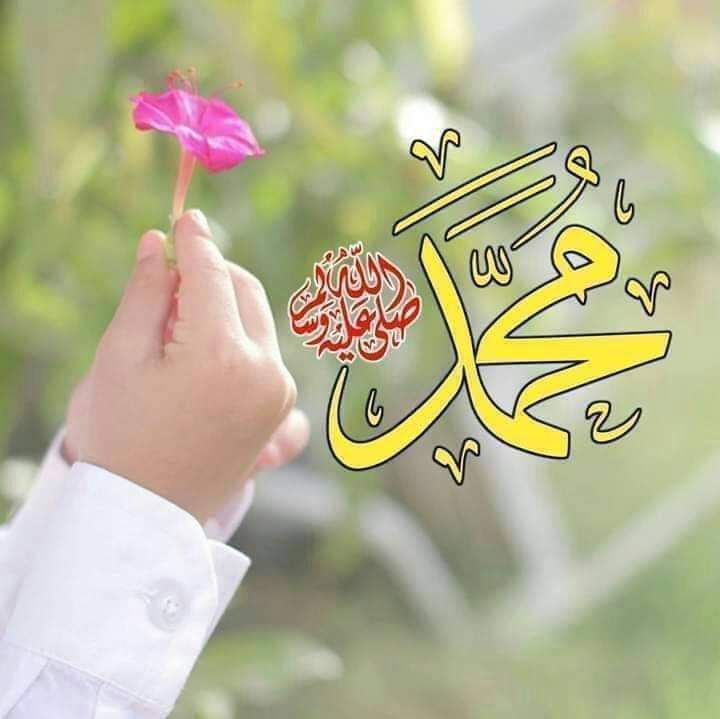 ***❤️‍🩹***اللهم صل وسلم علی نبینا محمدﷺ