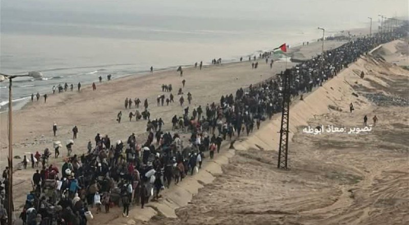 **صباح الخير من أرض الزيتون عودة …