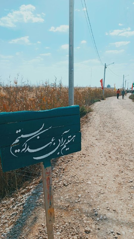 عکس شماره ۱۰
