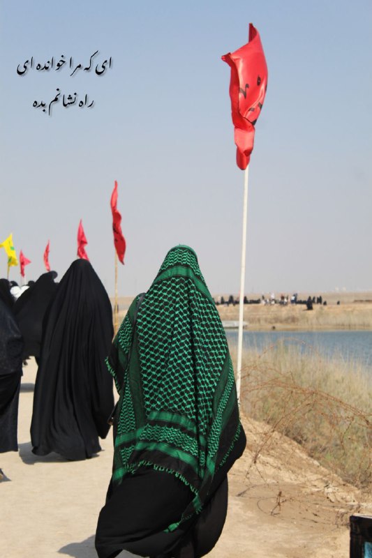 عکس شماره ۱۱