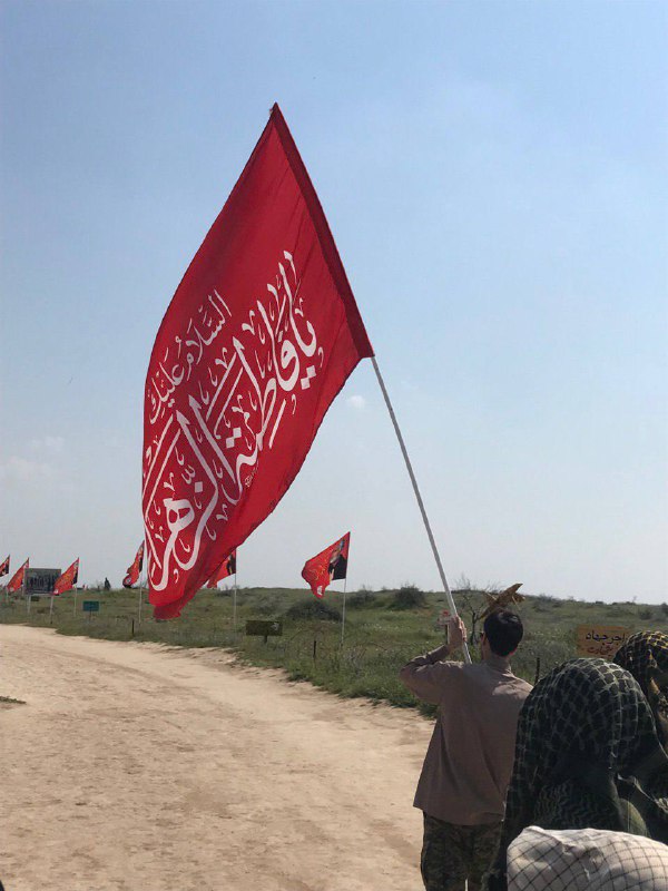 عکس شماره ۱۲
