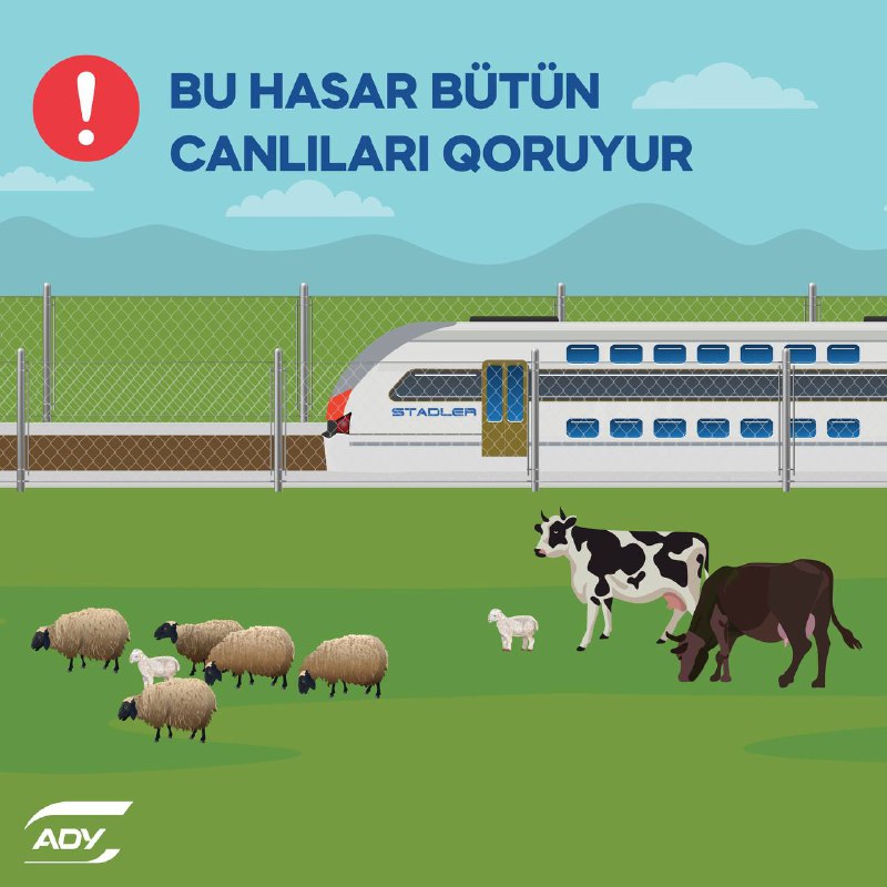 ***🐄******🐑*** Sahibsiz buraxılan mal-qara qatarların hərəkətinə …