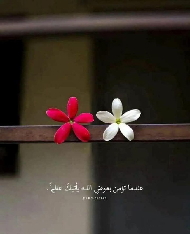إذا أراد الله لك خيراً جند …