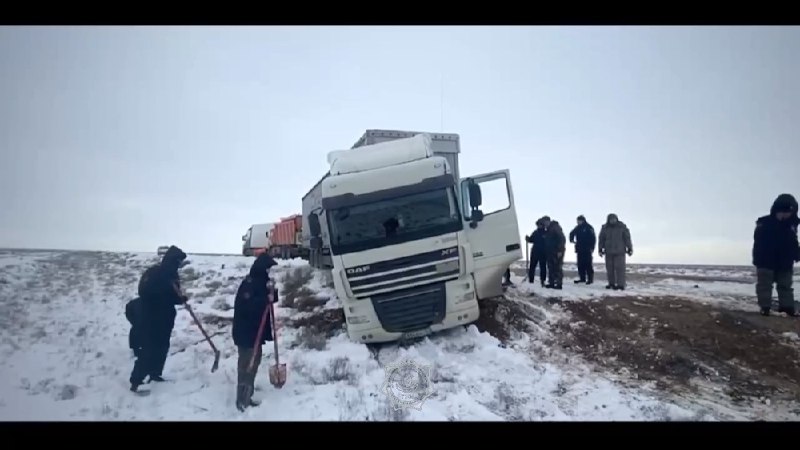 **В Мангистау 29 фур попали в …