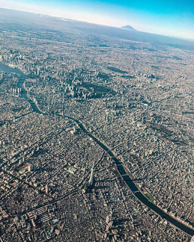 تنها یک نادان، هیچگاه نظرش را …