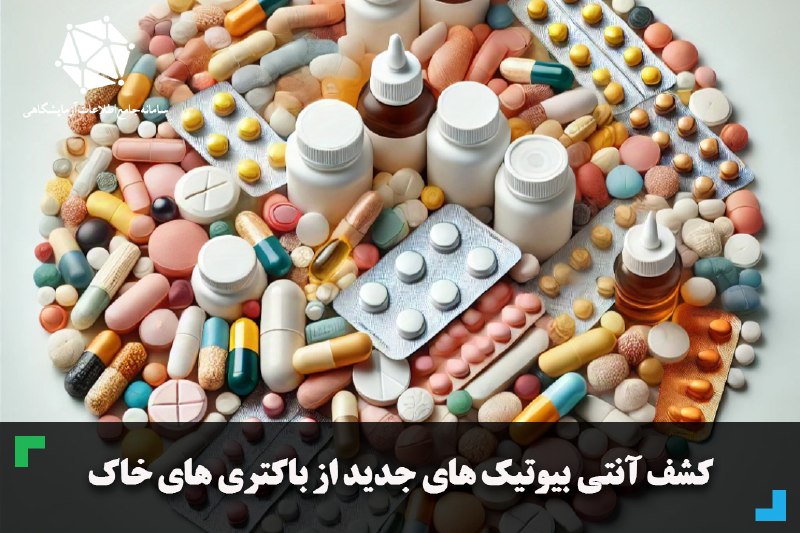 ***?***کشف آنتی بیوتیک های جدید از …