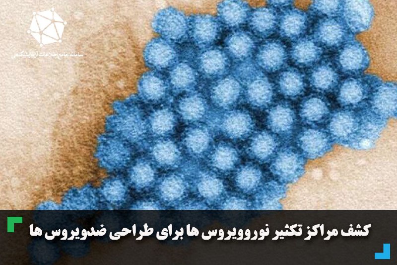 ***?*****کشف مراکز تکثیر نوروویروس ها برای …