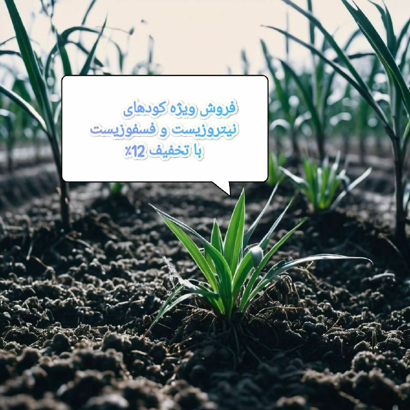 ***🌱******✨*** فروش ویژه کودهای نیتروزیست و …