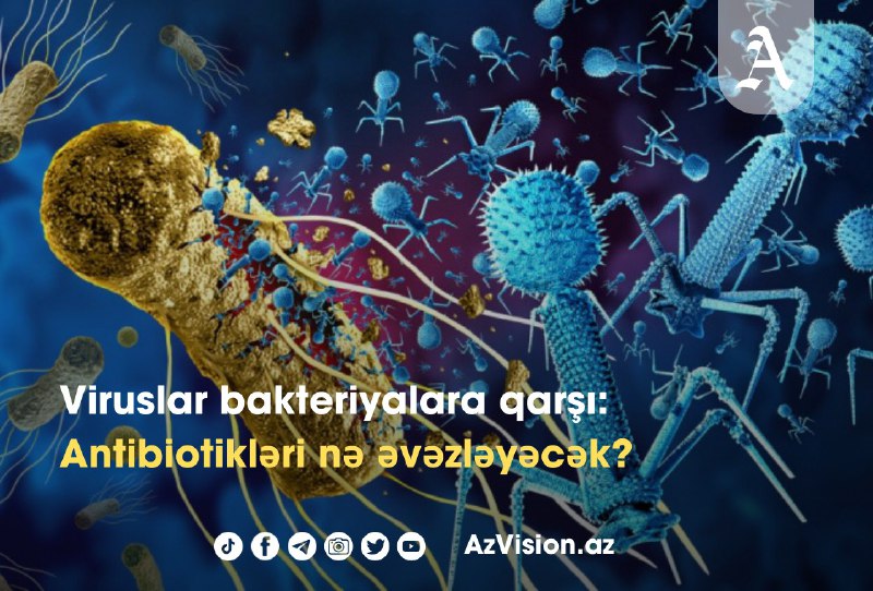 *****🦠*** Viruslar bakteriyalara qarşı: Antibiotikləri nə …