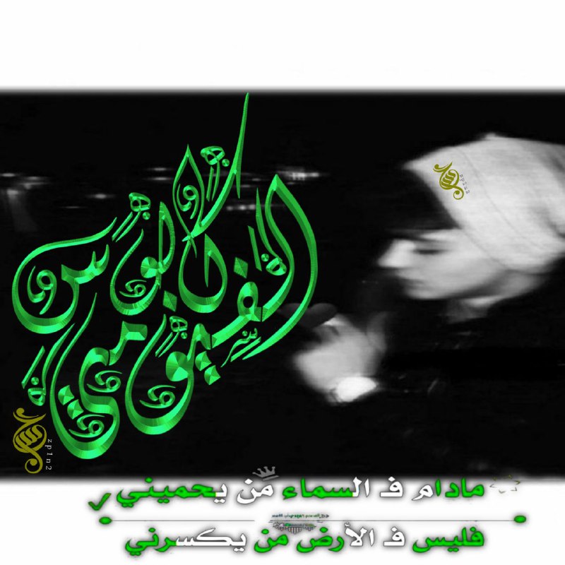 محبين ال صدر الكرام
