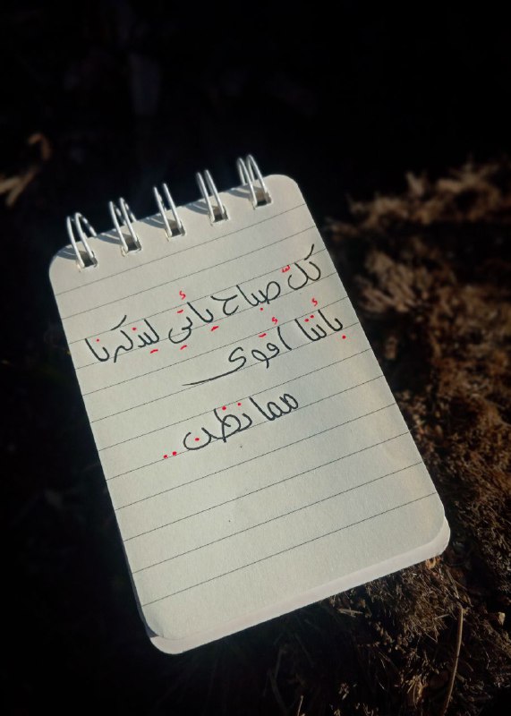 صباح الخير