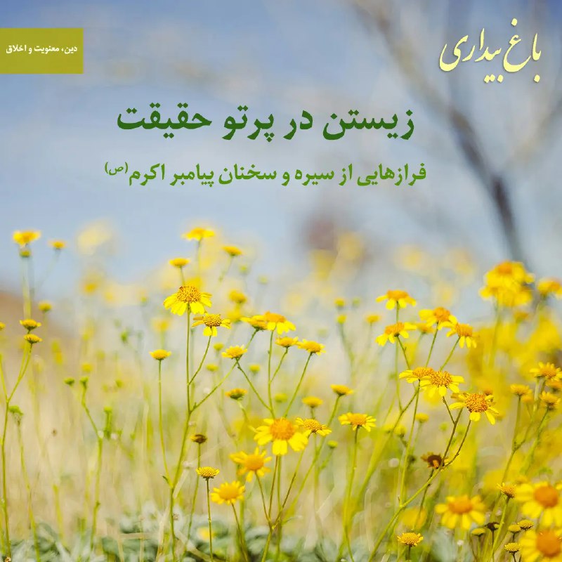 **بخش‌هایی از متن:**