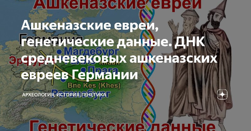 Текстовый вариант: [Ашкеназские евреи, генетические данные. …