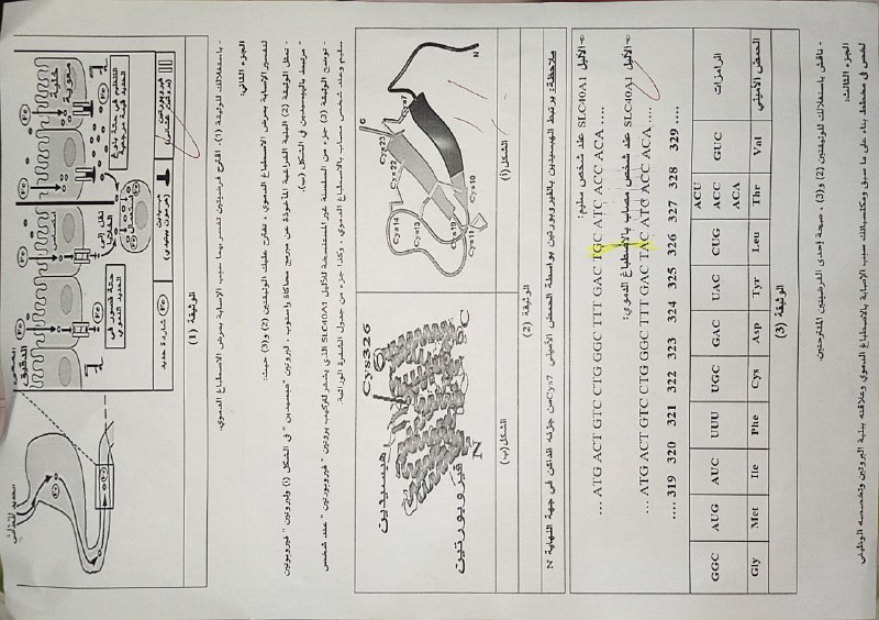 Bac 2025 باك 2025 كلنا ناجحون …