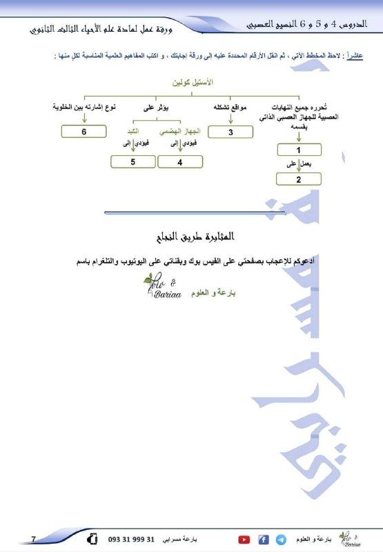 نصائح البكالوريا مع فداء ابراهيم