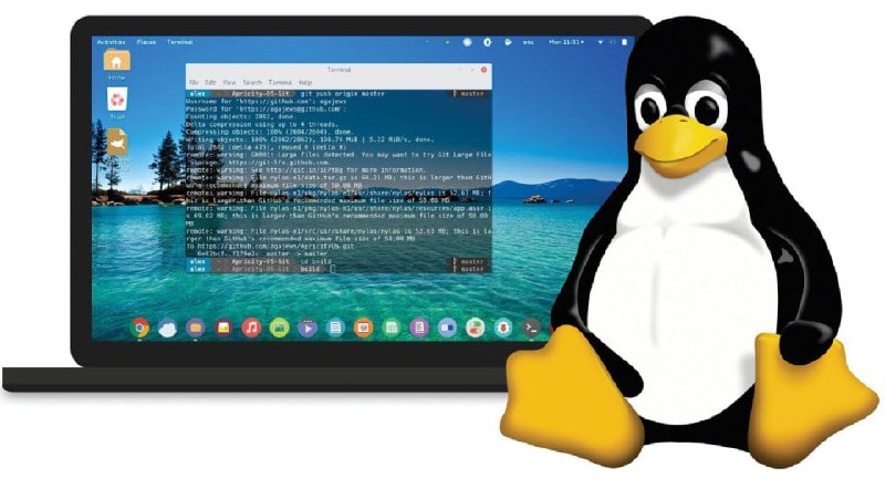 *****🌎***** **Linux Pocket Guide: Essential Commands …