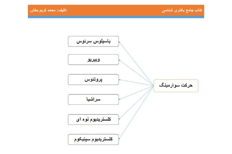 باکتری شناسی استاد کریم بخش