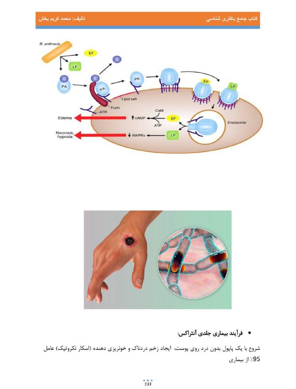 امشب یک کلیپ دیگر از [#مفاهیم](?q=%23%D9%85%D9%81%D8%A7%D9%87%DB%8C%D9%85) …