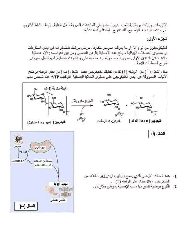 ♕🎓👑Study With Dr. Abd Mallek 👑🎓♕