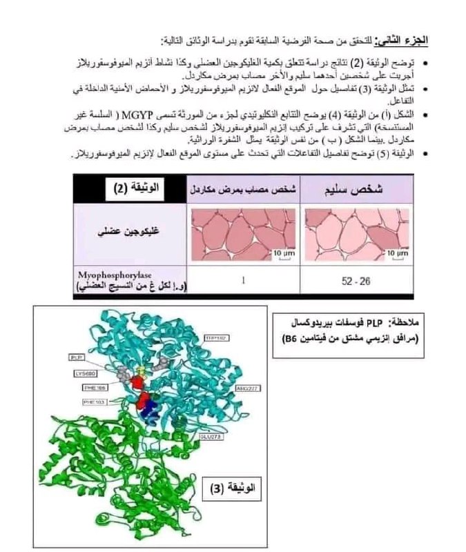 ♕🎓👑Study With Dr. Abd Mallek 👑🎓♕