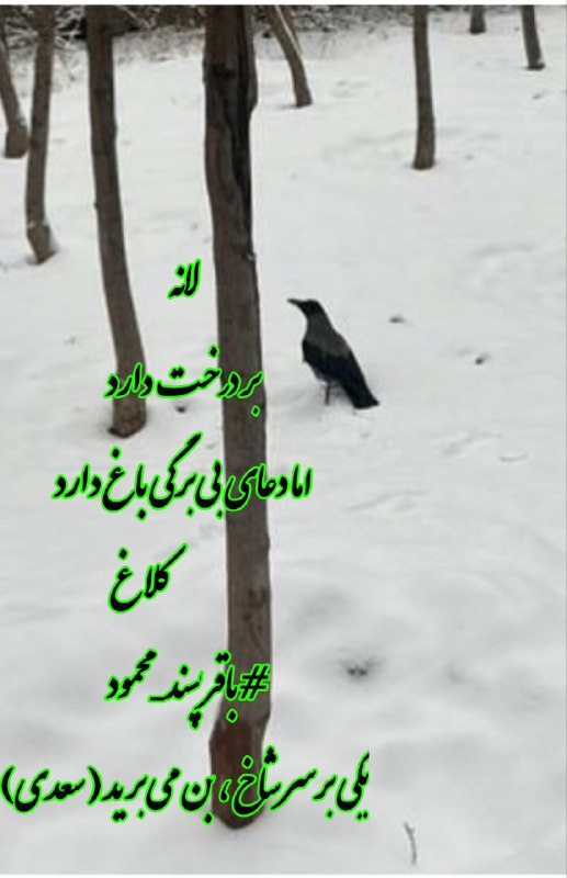 در ضیافت ِ کلمه