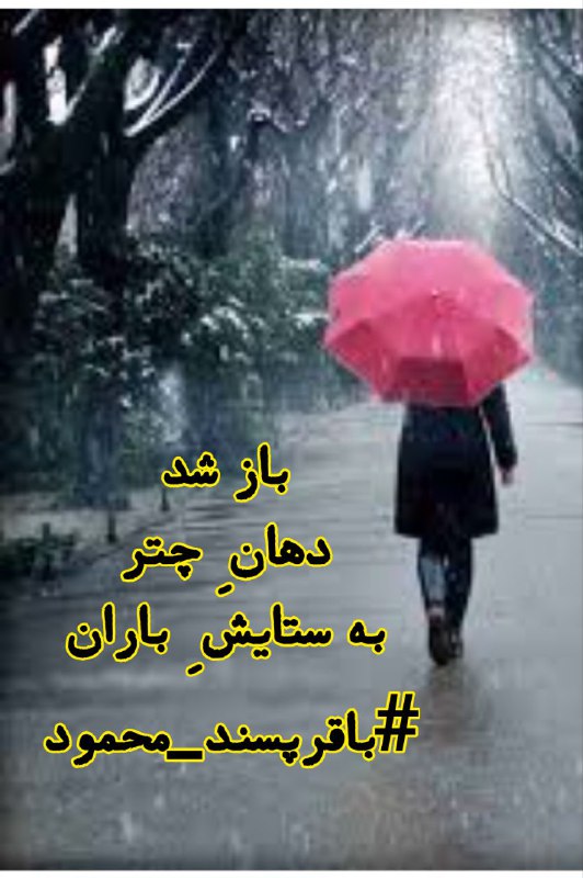 در ضیافت ِ کلمه