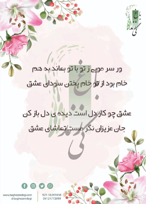 ﷽