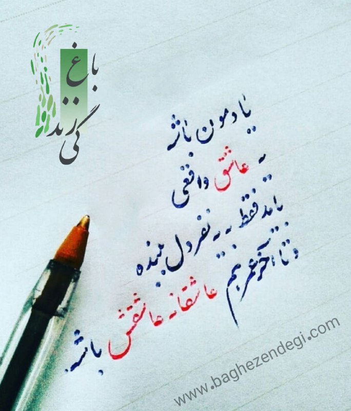 ﷽